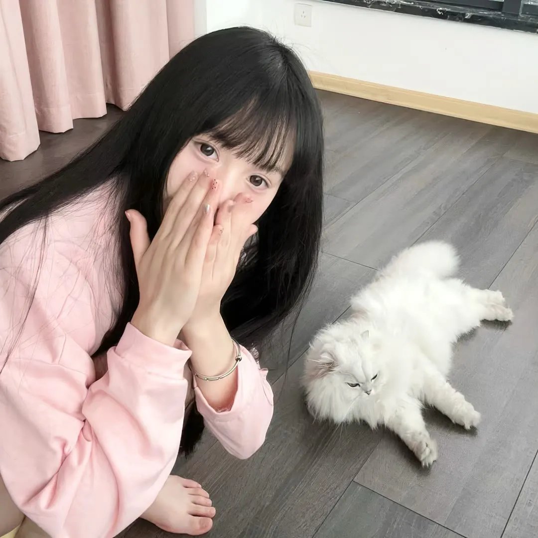 穹顶之下第二季